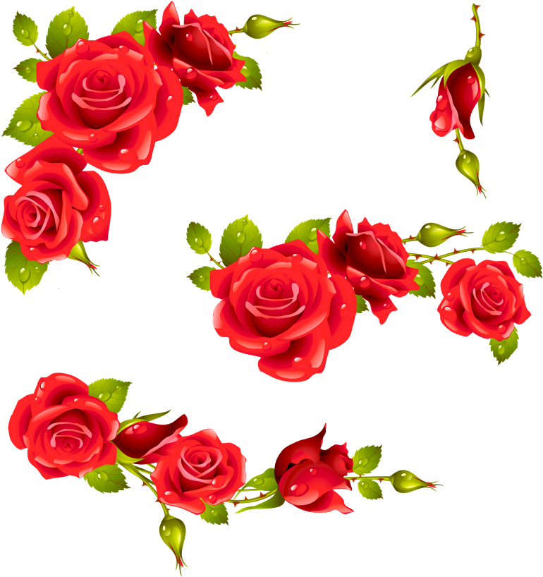 Red Rose Floral Design Element PNG Image