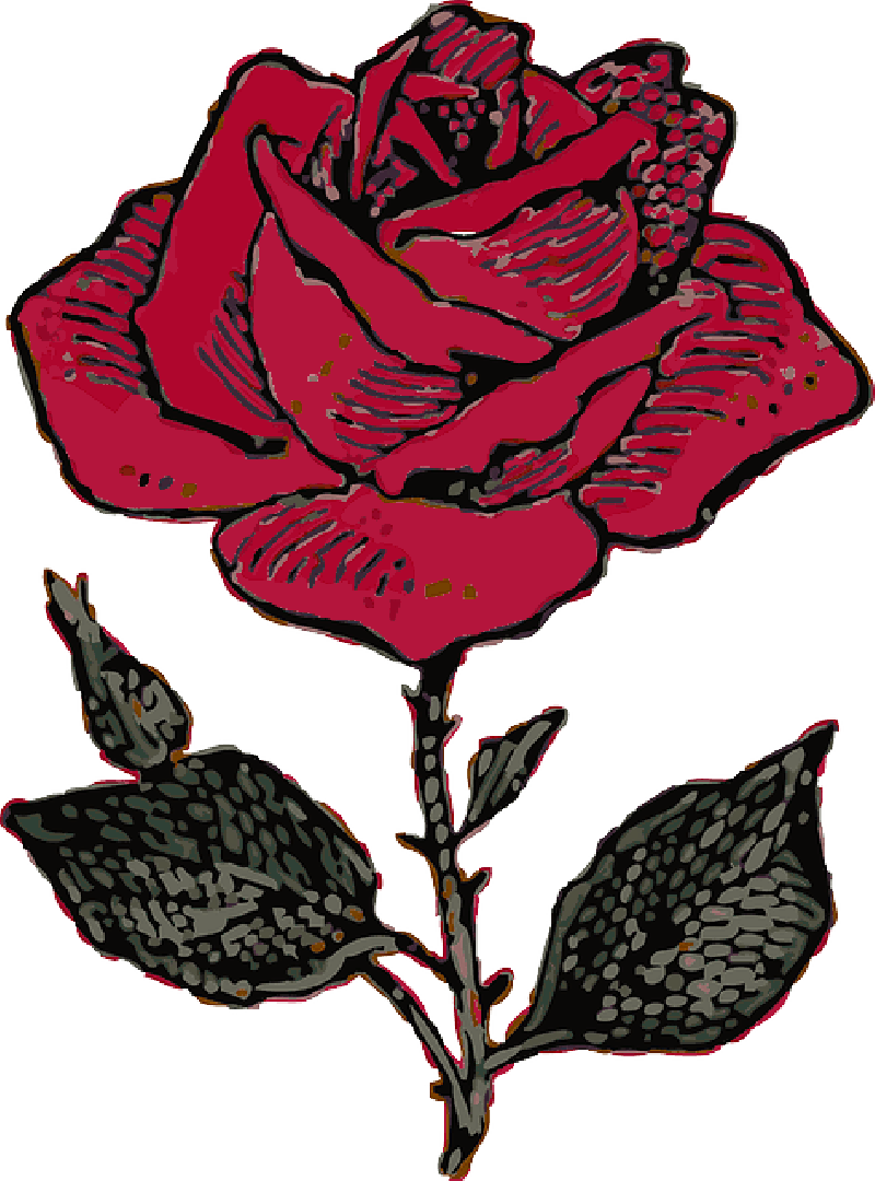 Red Rose Illustration PNG Image