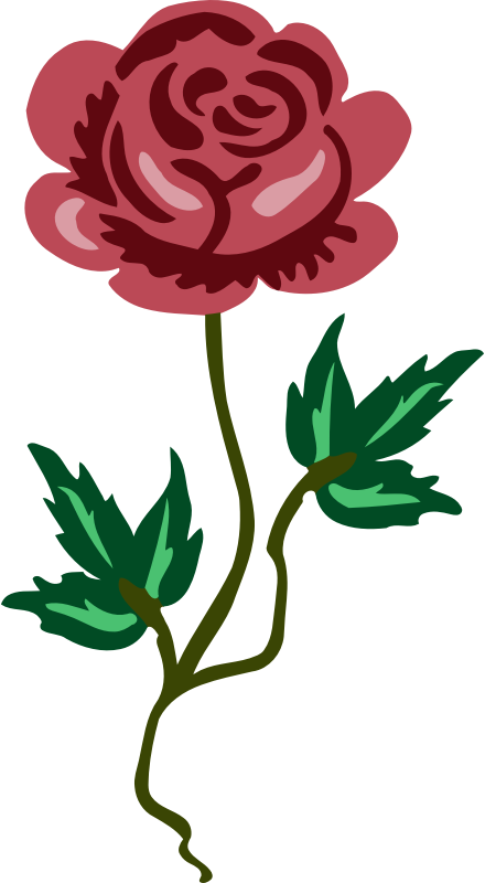 Red Rose Illustration PNG Image