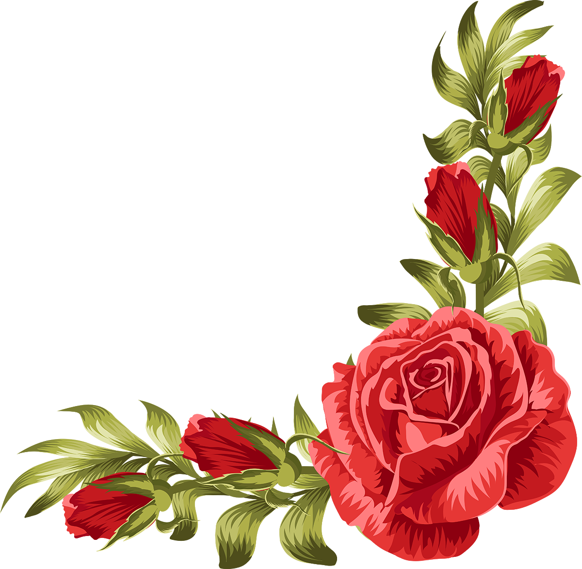 Red Rose Leaf Border Design PNG Image