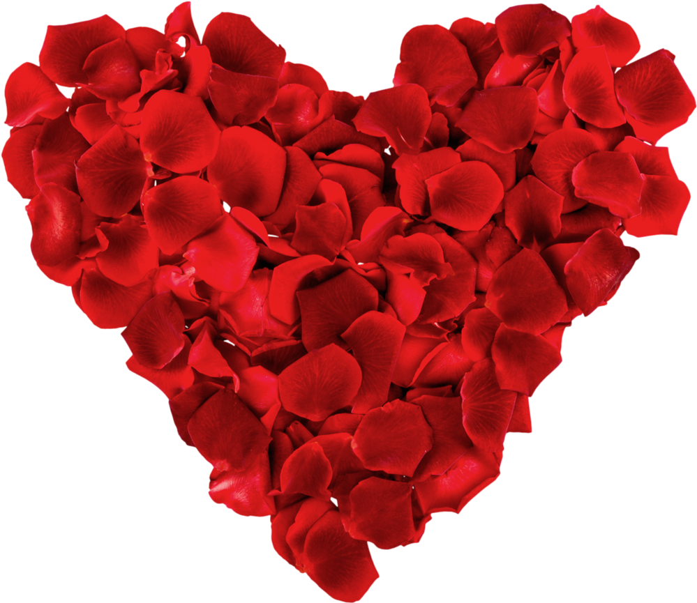 Red Rose Petals Heart Shape PNG Image