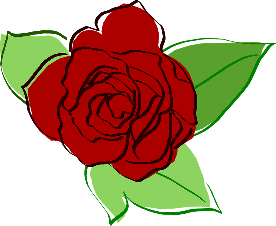 Red Rose Sketch Artwork PNG Image