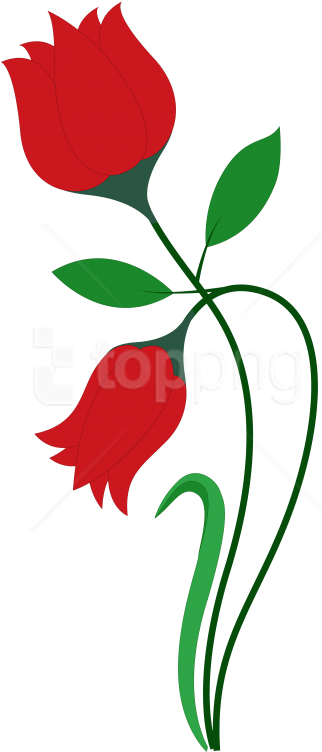 Red Rose Vector Art PNG Image