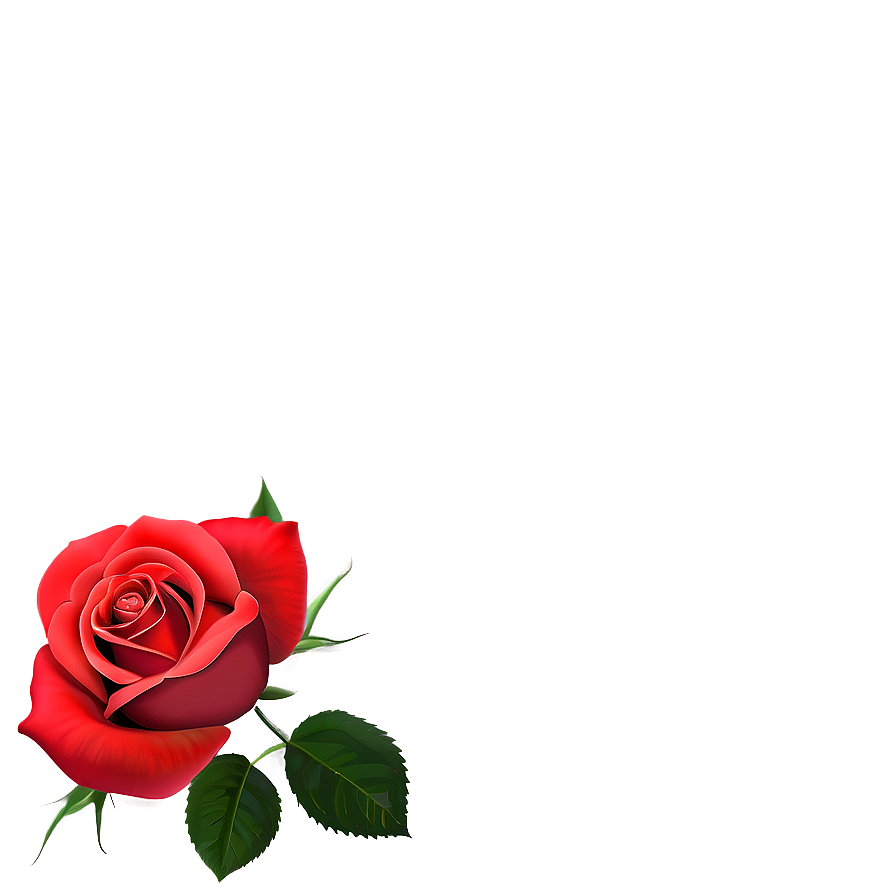 Red Rose Wallpaper Png 53 PNG Image