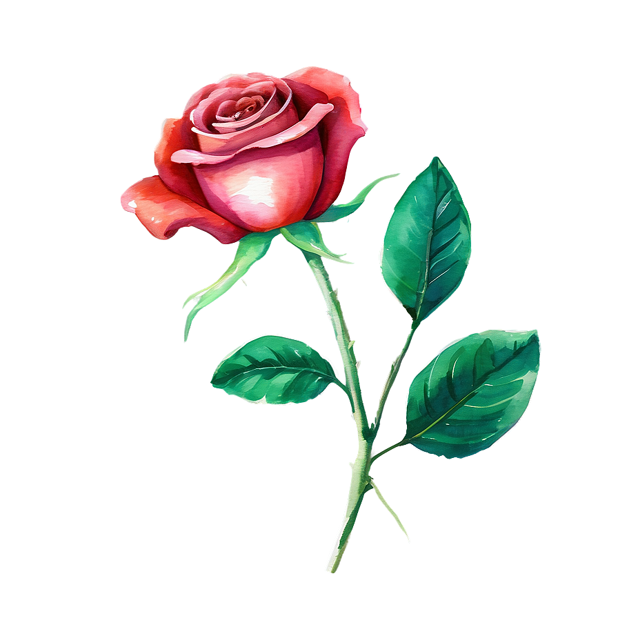 Red Rose Watercolor Png 05242024 PNG Image