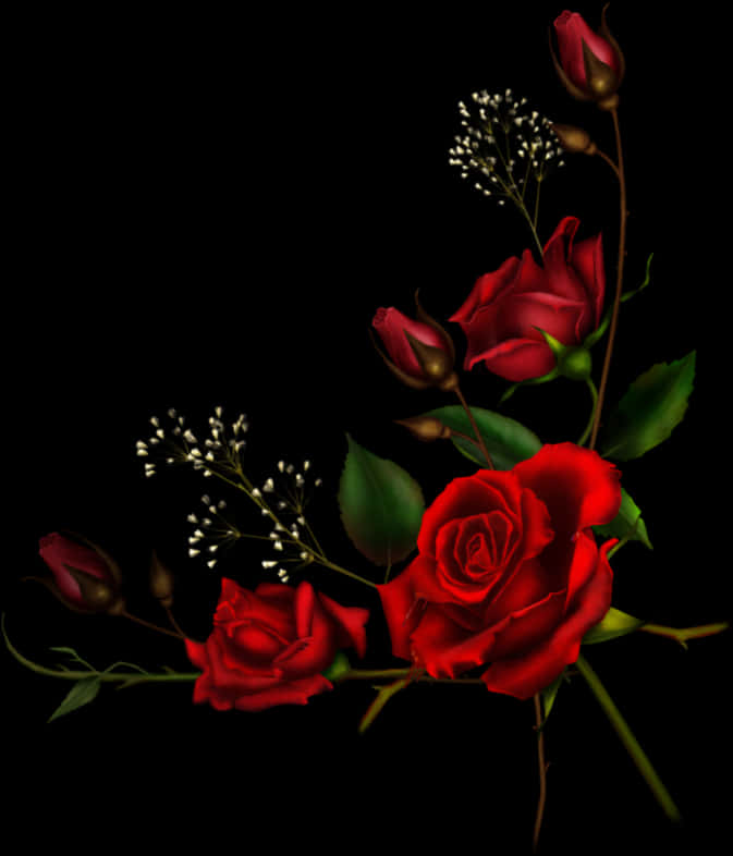 Red Roses Dark Background PNG Image