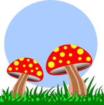 Red Spotted Mushrooms Night Illustration PNG Image