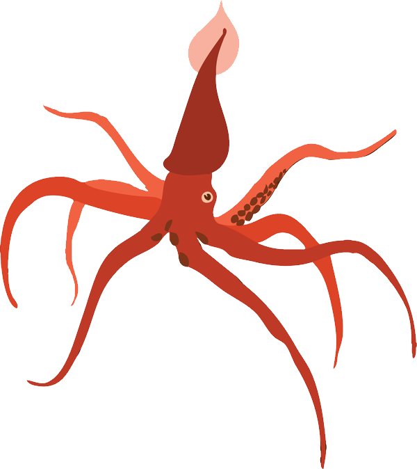 Red Squid Illustration PNG Image