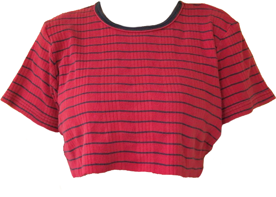 Red Striped Cropped Blouse PNG Image