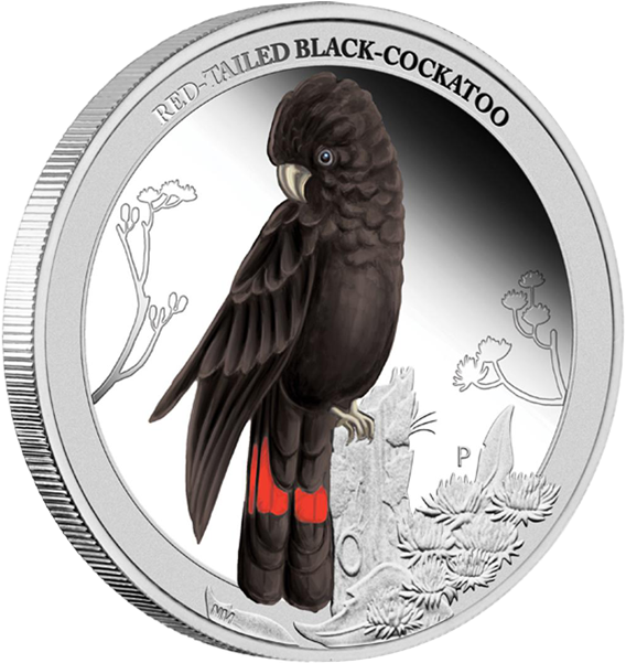 Red Tailed Black Cockatoo Coin PNG Image