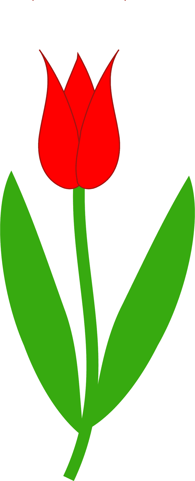 Red Tulip Simple Illustration PNG Image