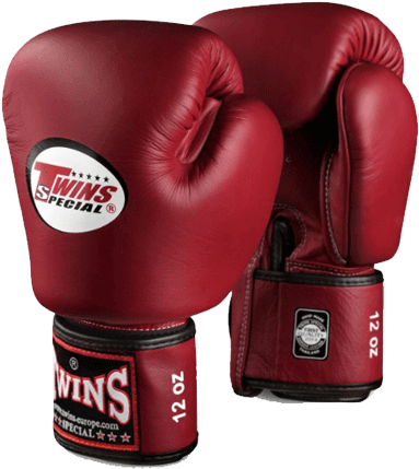 Red Twins Special Boxing Gloves PNG Image