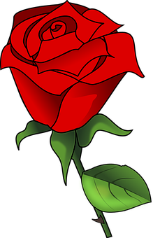 Red Vector Rose Art PNG Image