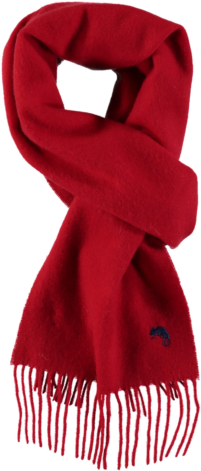 Red Wool Scarfwith Fringe PNG Image