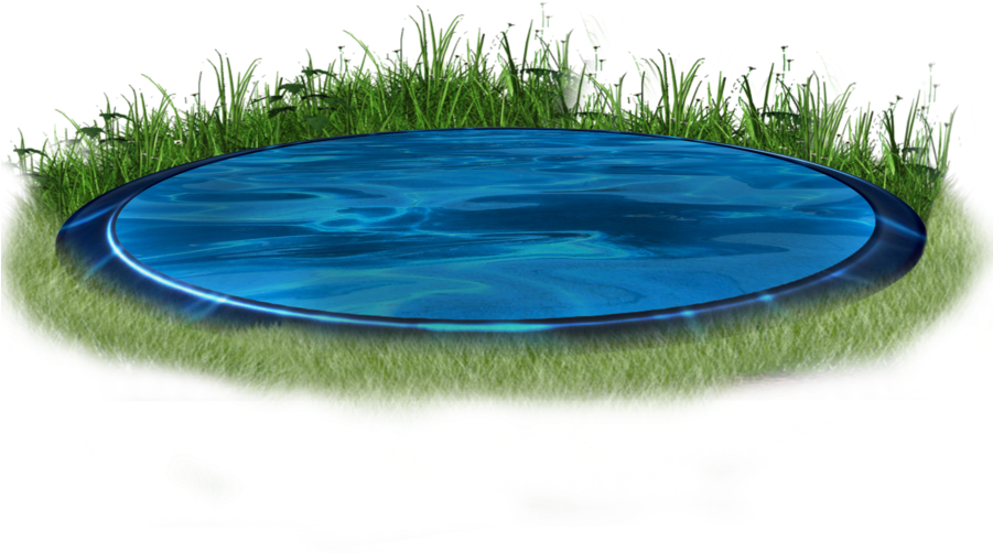 Reflective Discin Grass PNG Image