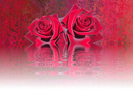 Reflective Red Roses Artwork PNG Image