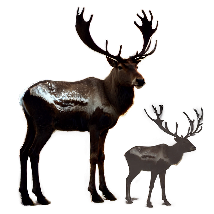 Reindeer Silhouette Png 05212024 PNG Image