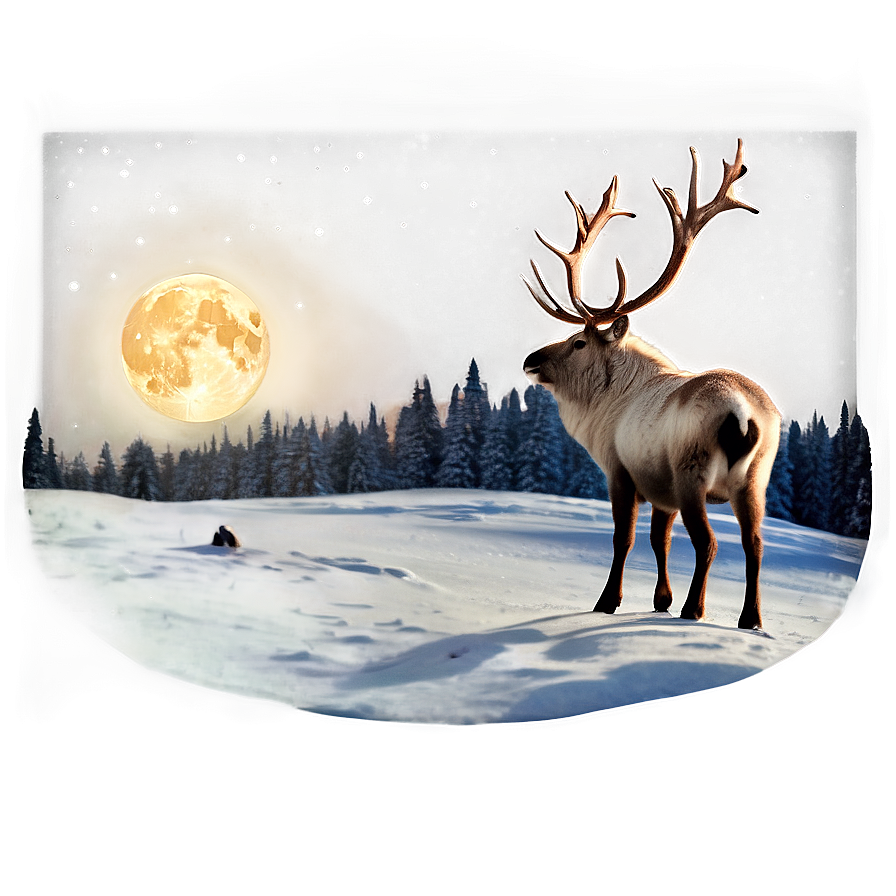 Reindeer Under Moonlight Png Mls18 PNG Image