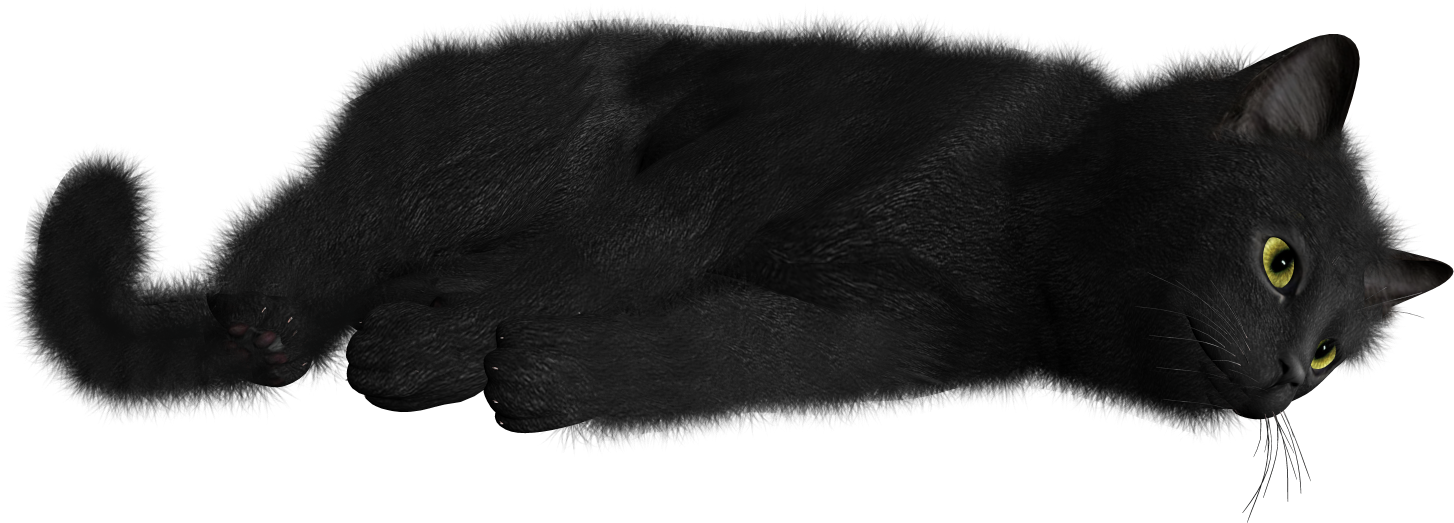 Relaxed Black Cat Lying Down PNG Image