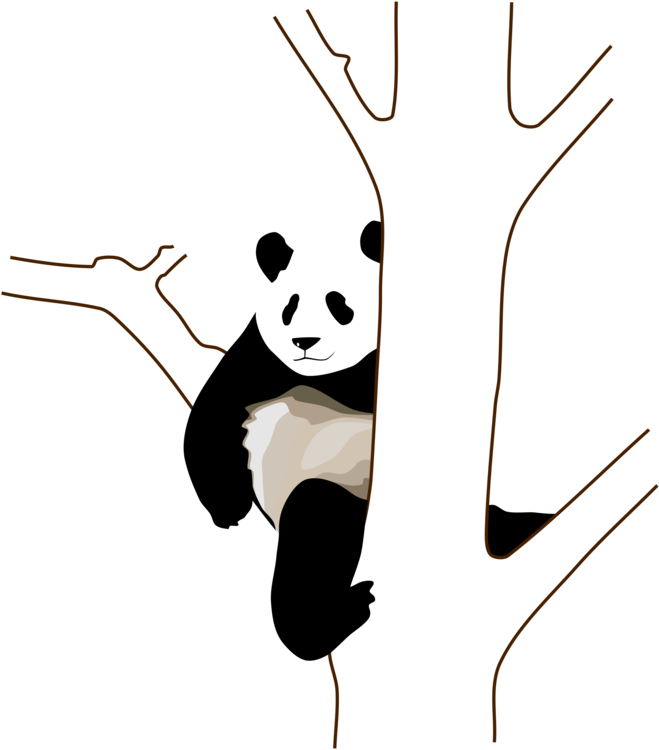 Relaxed Panda Clinging To Tree PNG Image