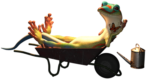 Relaxing Geckoin Wheelbarrow PNG Image