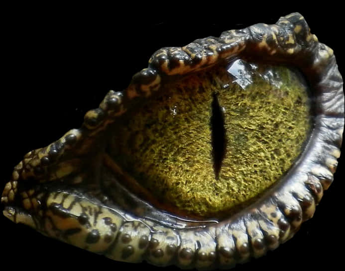 Reptilian_ Eye_ Closeup PNG Image