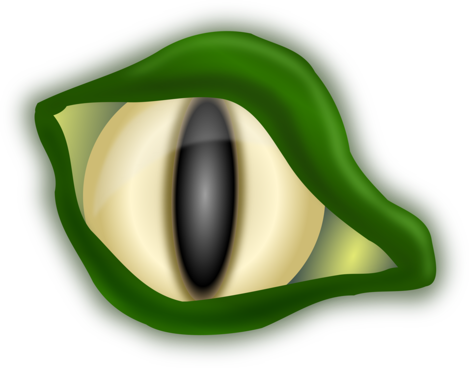 Reptilian_ Eye_ Closeup PNG Image