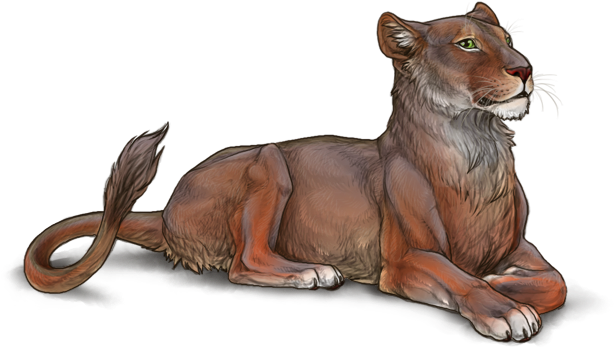 Resting Lioness Illustration PNG Image