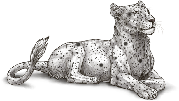 Resting Lioness Illustration PNG Image