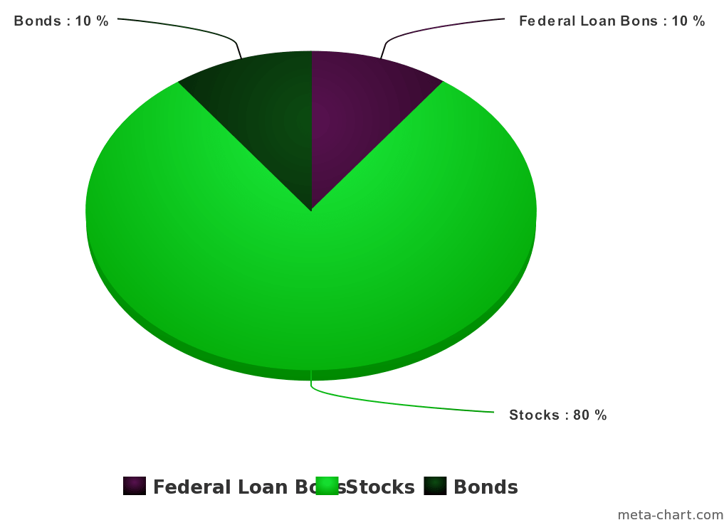 Retirement Investment Portfolio Distribution Pie Chart PNG Image