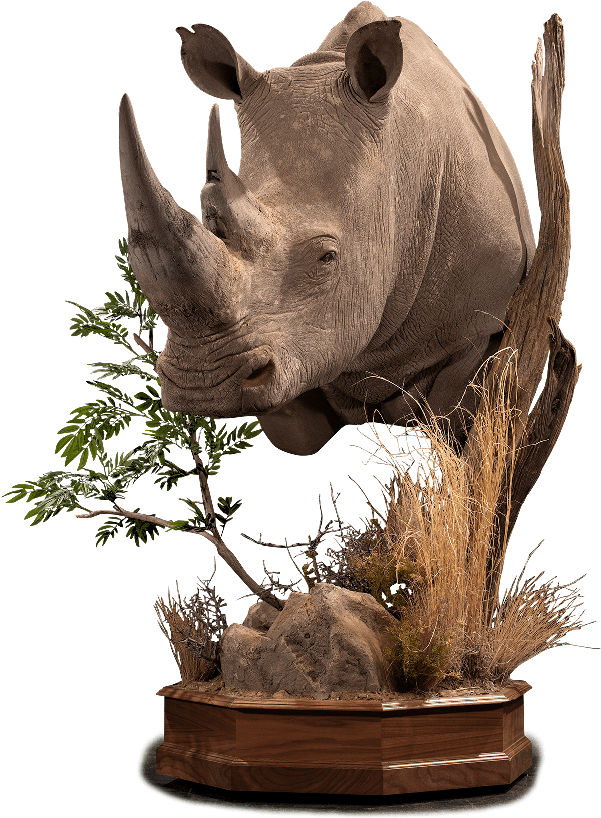 Rhinoceros Sculpture Art Piece PNG Image