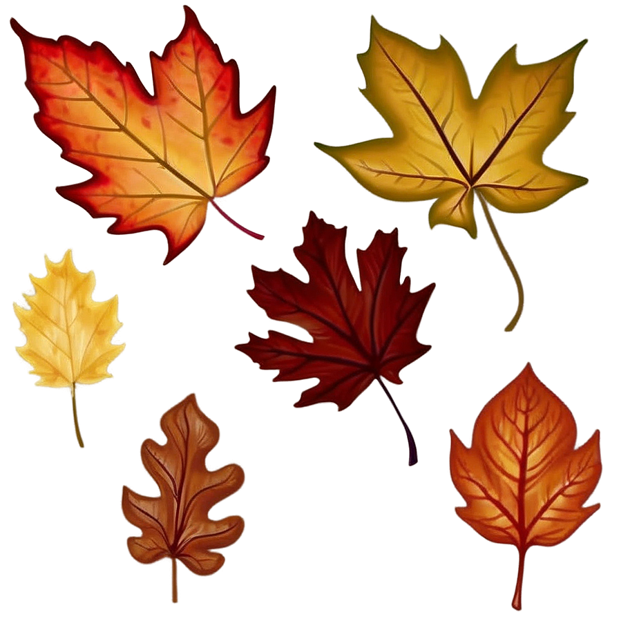 Rhode Island Autumn Leaves Png Des PNG Image