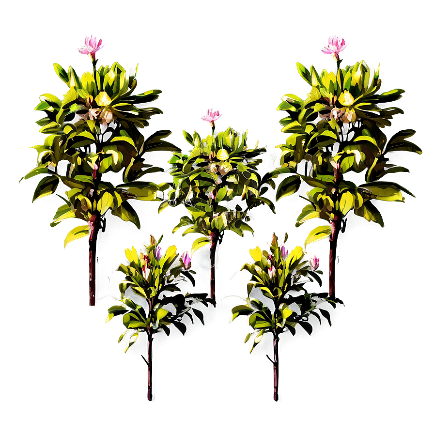 Rhododendron Bush Png Mct59 PNG Image