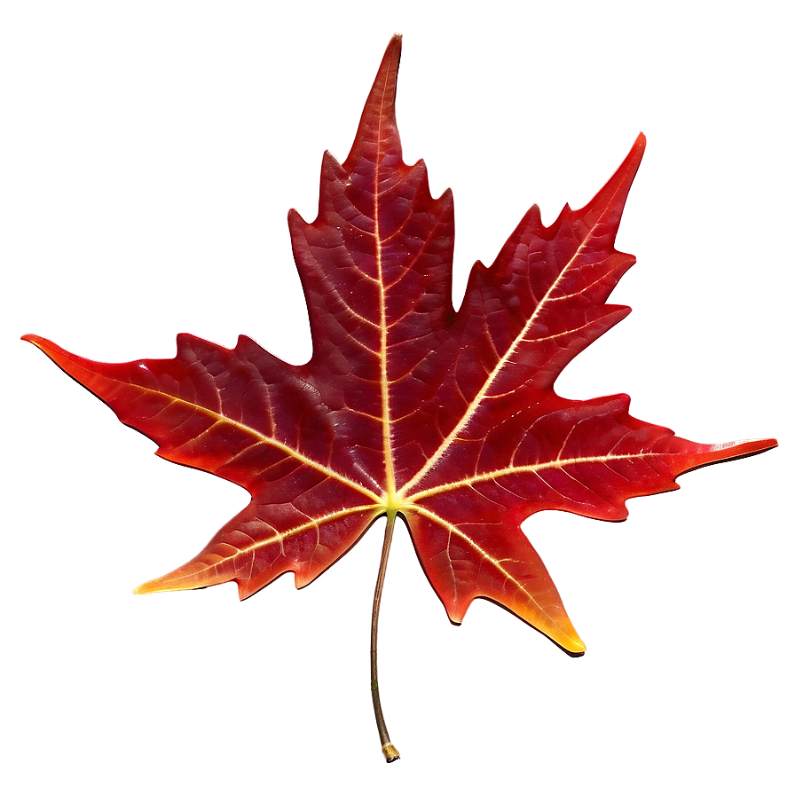 Rich Red Maple Leaf Png 05062024 PNG Image