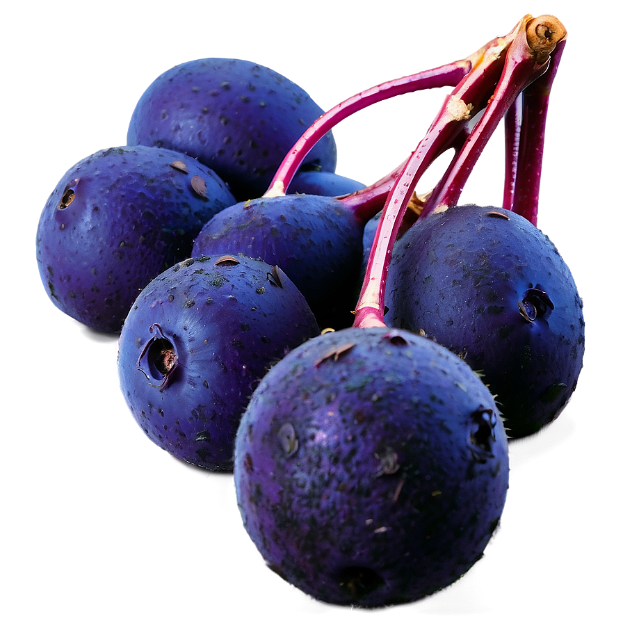 Ripe Acai Clusters Png 92 PNG Image