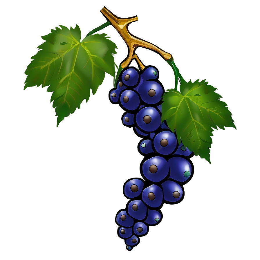 Ripe Blue Grapes Illustration PNG Image