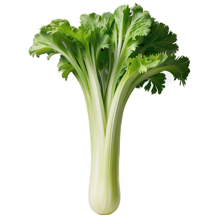 Ripe Celery Png 66 PNG Image