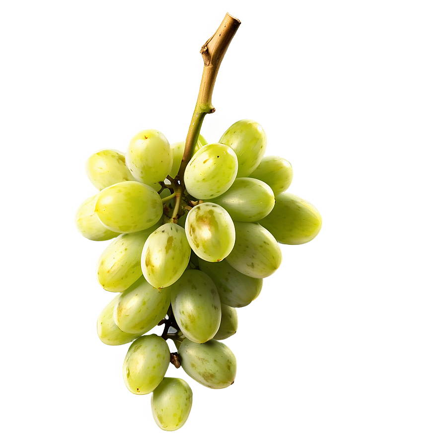 Ripe Grape Bunch Png Jmx56 PNG Image