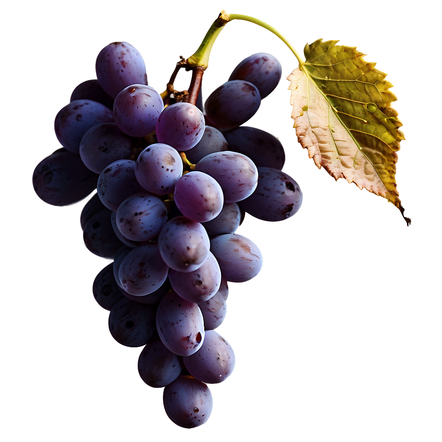 Ripe Grape Bunch Png Wcb PNG Image