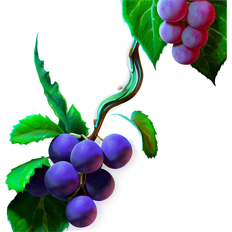 Ripe Grapeson Vine PNG Image