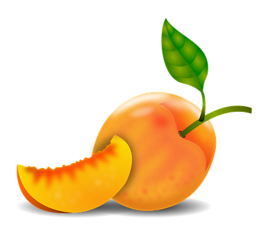 Ripe Peach With Slice Illustration PNG Image