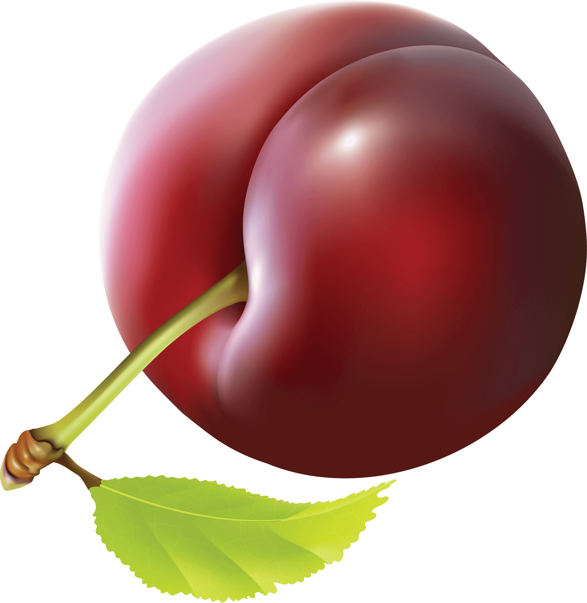 Ripe Plum Illustration.png PNG Image