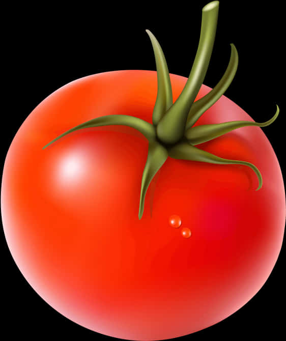 Ripe Tomato Illustration PNG Image