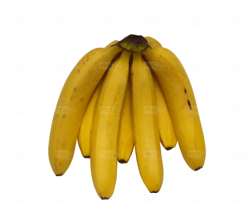 Ripe Yellow Plantainson Blue Background.png PNG Image