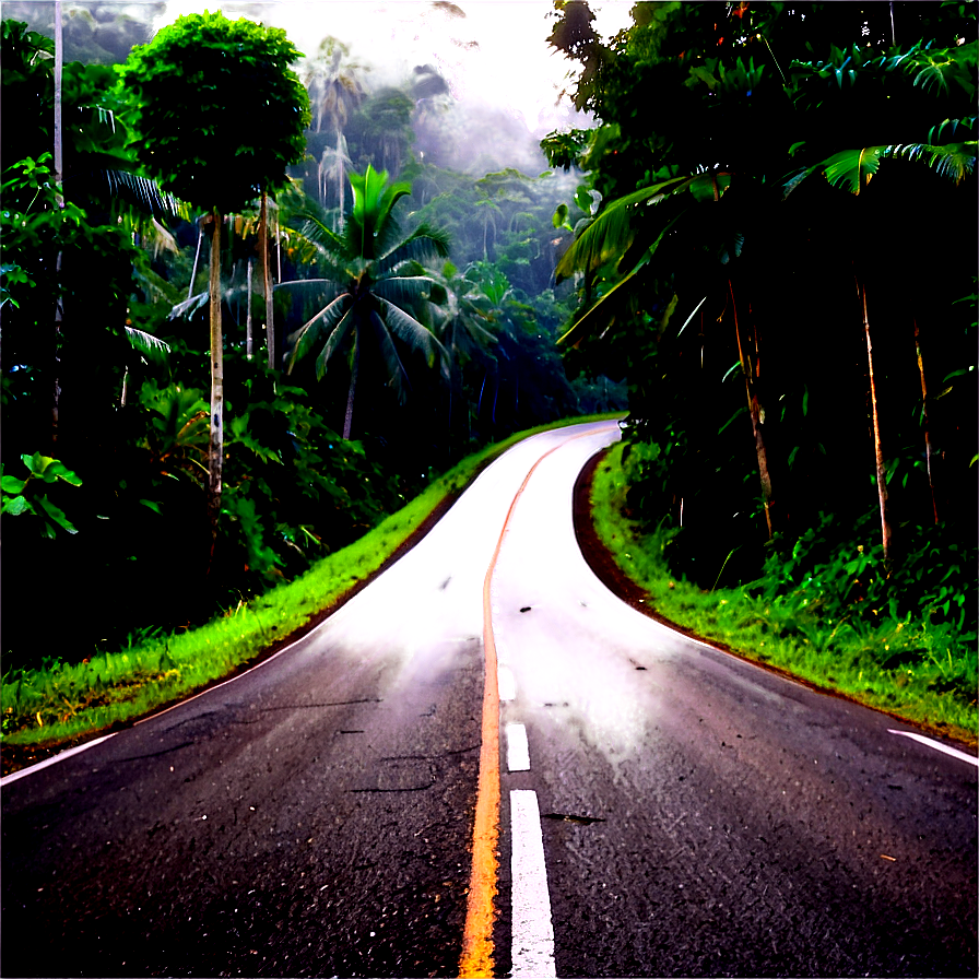 Road In Rainforest Png 05032024 PNG Image