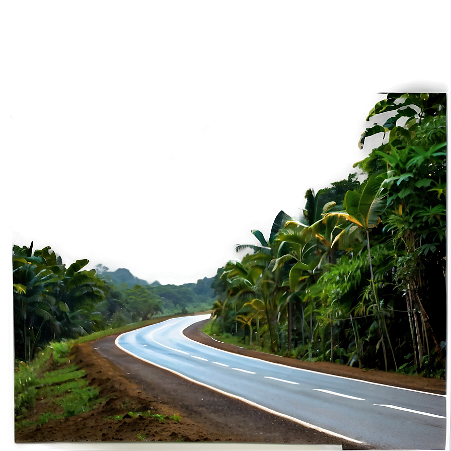 Road In Rainforest Png Jhe81 PNG Image