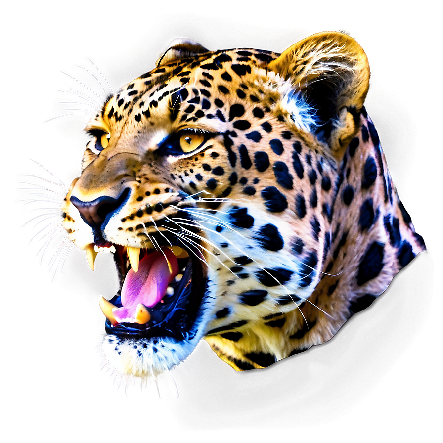 Roaring Leopard Face Png 71 PNG Image