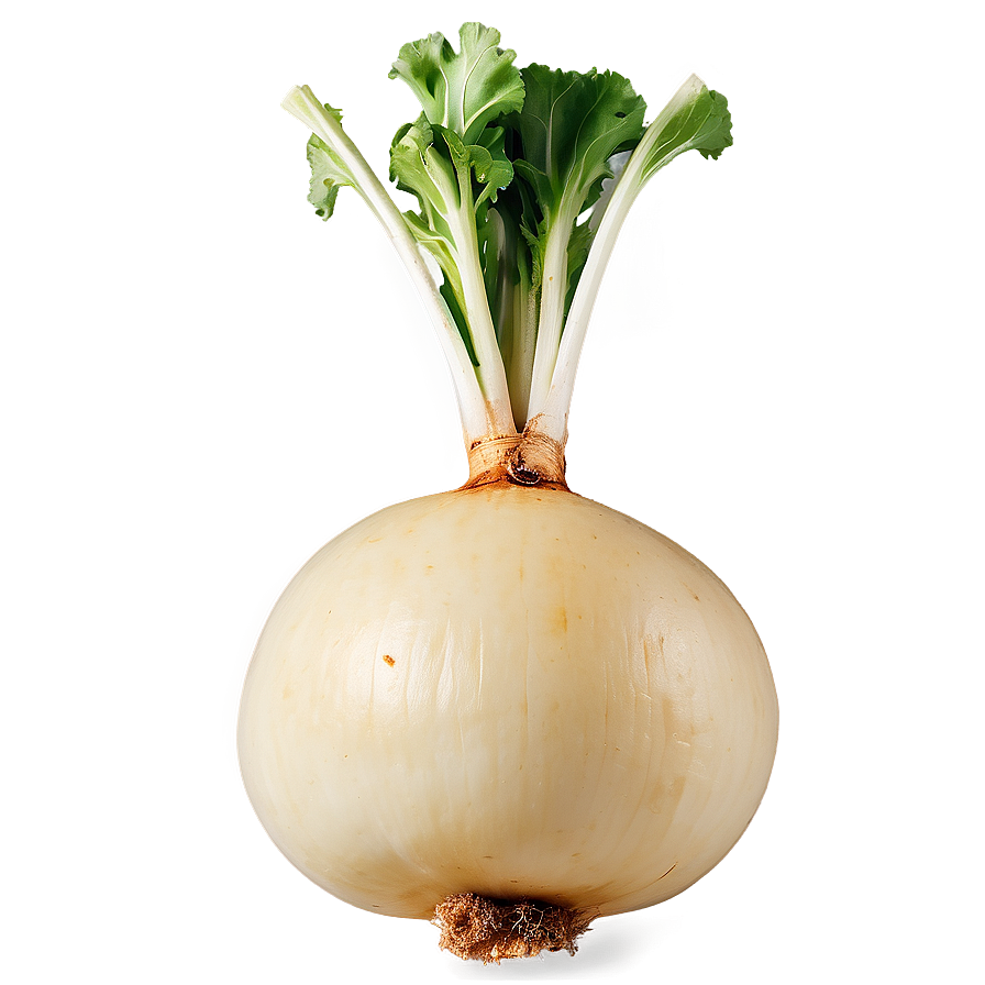 Roasted Turnip Png 3 PNG Image