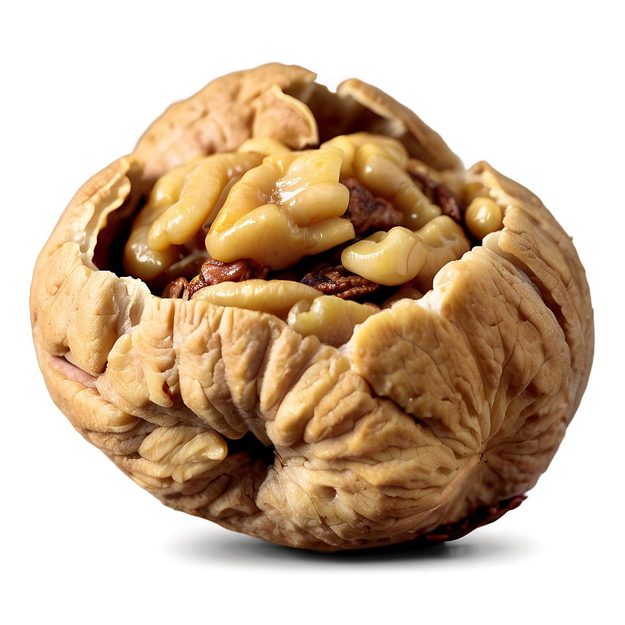 Roasted Walnut Png Iur28 PNG Image