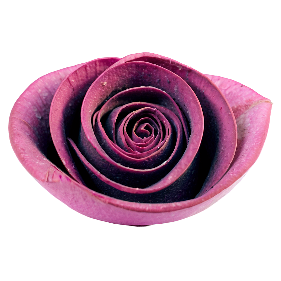 Rolled Flower B PNG Image